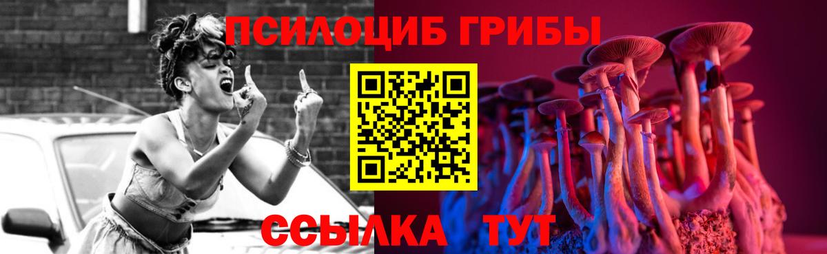 Галлюциногенные грибы Psilocybine cubensis  Вход с VPN  Галлюциногенные грибы мухоморы  Нальчик 